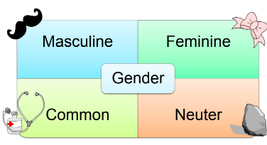 Masculine and feminine gender