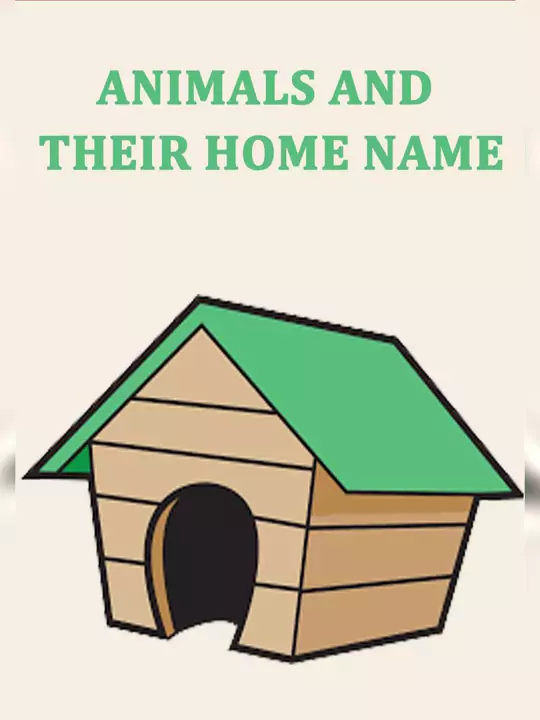 Animal Homes