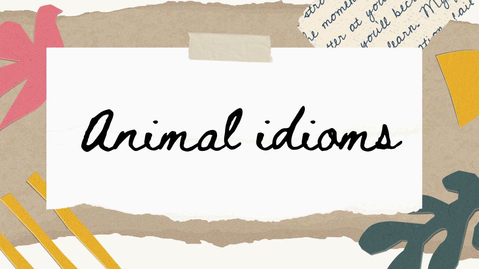 Animal Idioms