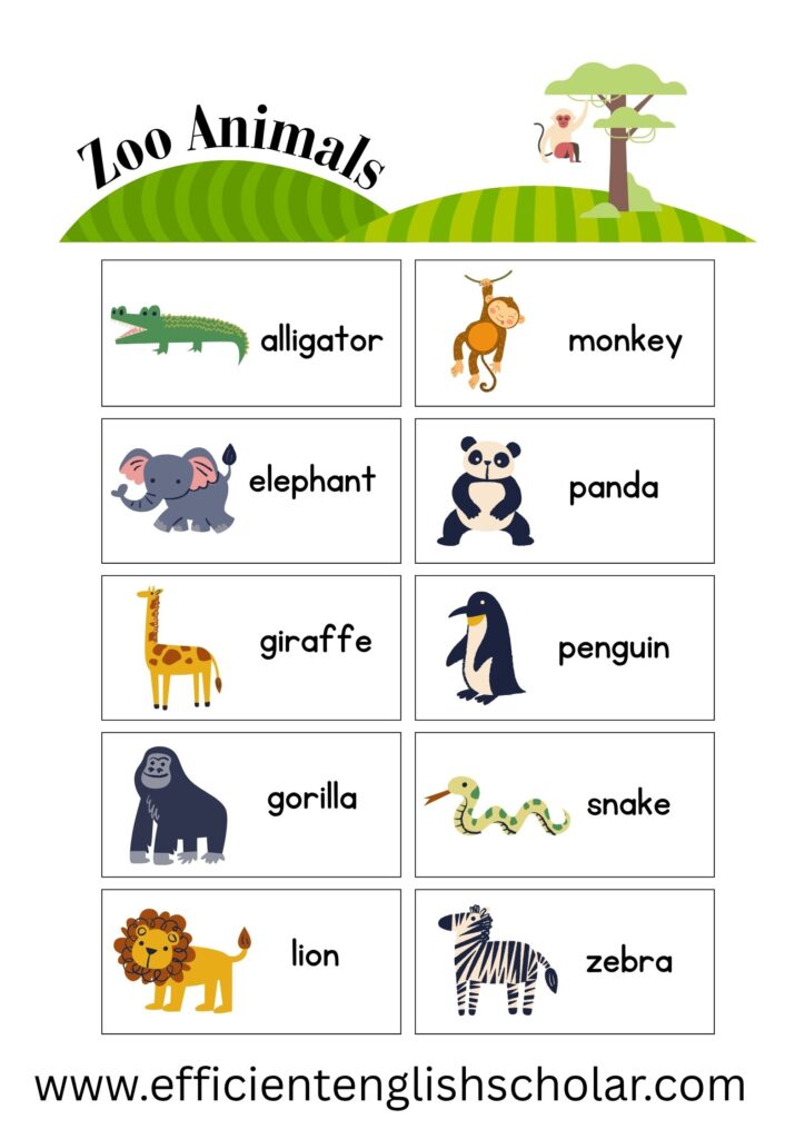 Zoo Animals